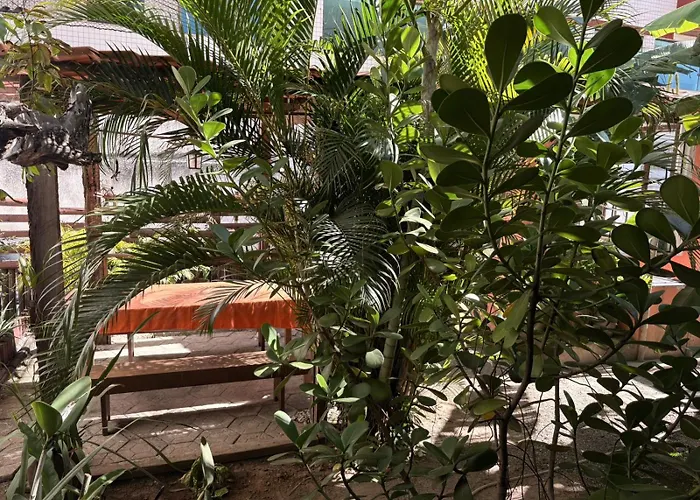 Pousada Cantinho de Minas Da Tânia